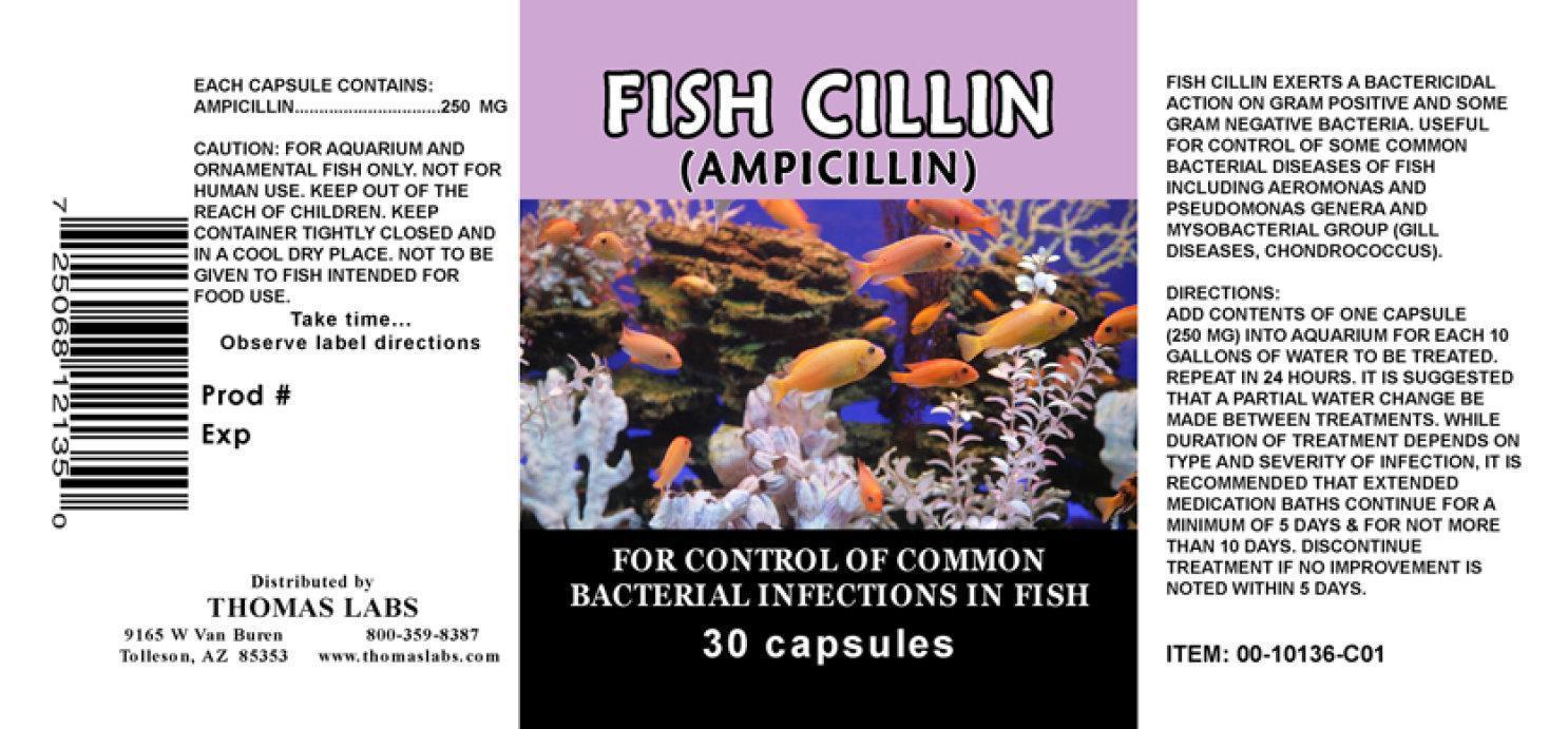Fish Cillin 30 Capsules
