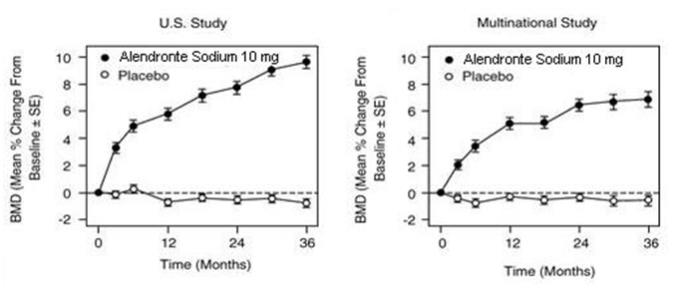 Osteoporosis Treatment Studies in Postmenopausal Women Time Course of Effect of Alendronate Sodium 10 mg/day Versus Placebo: Lumbar Spine BMD Percent Change From Baseline