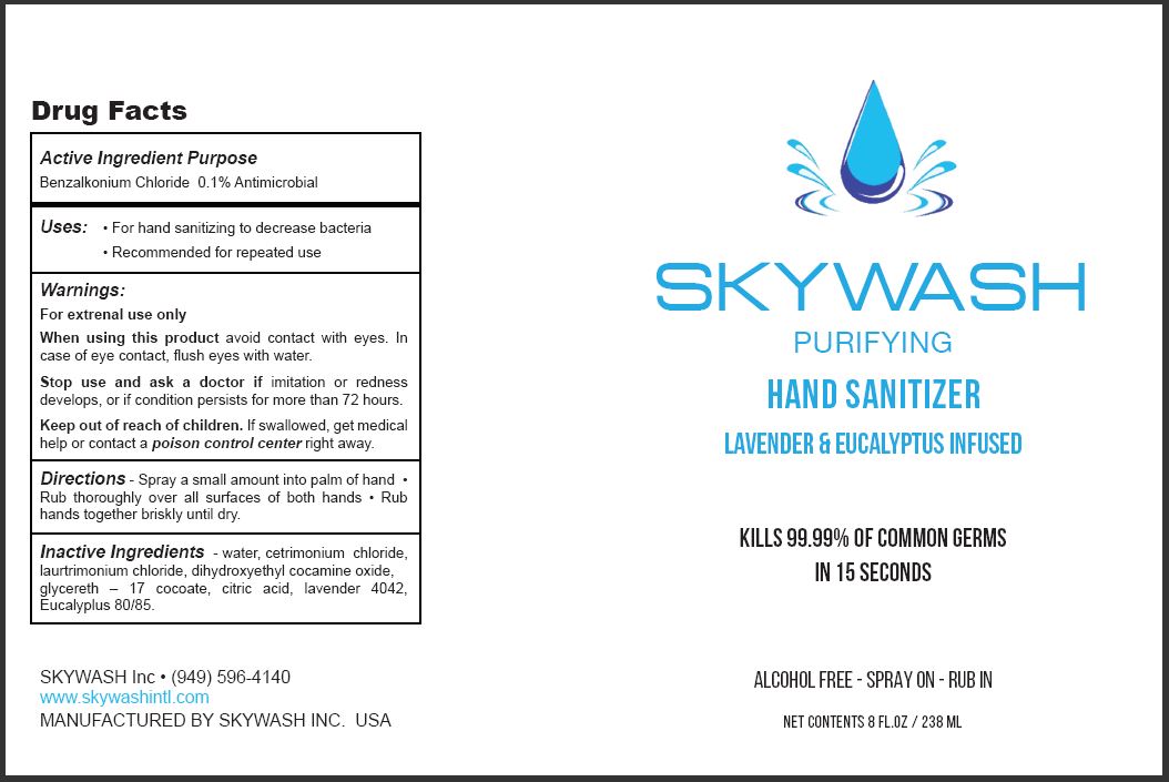 01b LBL_Skywash_Hand Sanitizer_8oz