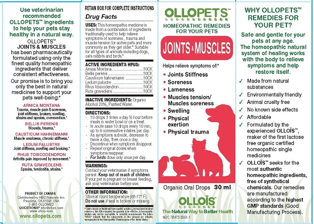 box_30ml_ollopets_jointsmuscles