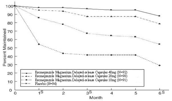 Figure 2 : Maintenance of Healing Rates of EE in Adults by Month (Study 177)