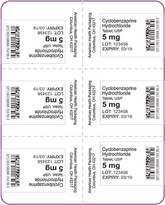 5 mg Cyclobenzaprine HCl Tablet Blister