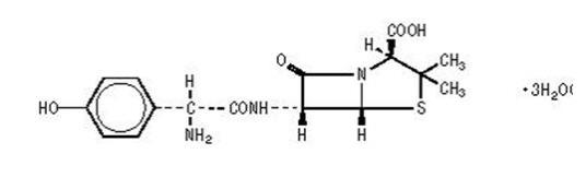 The structural formula for Amoxicillin.