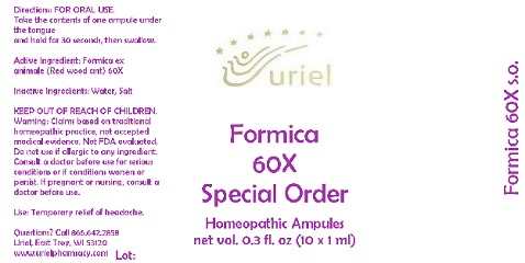 Formica60SpecialOrderAmpules