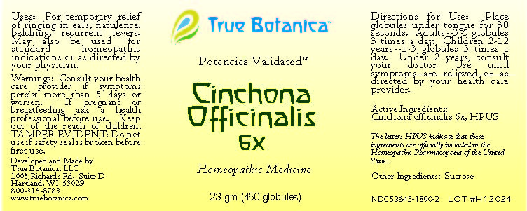 Cinchona Officinalis 6X