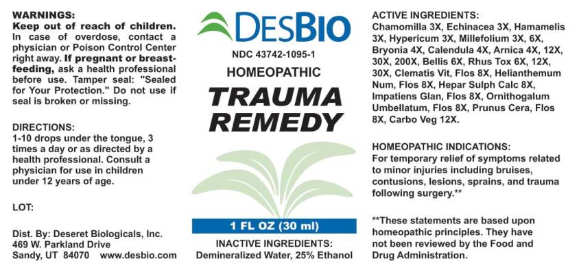 Trauma Remedy