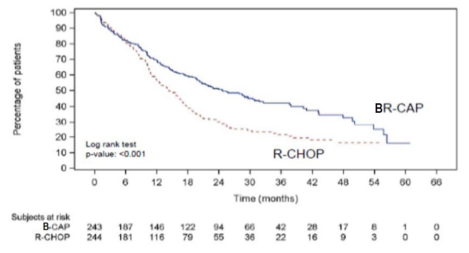 Figure 5: Progression-Free Survival VcR-CAP vs R-CHOP (previously Untreated Mantle Cell Lymphoma Study)