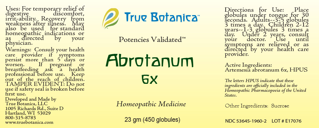 Abrotanum 6X
