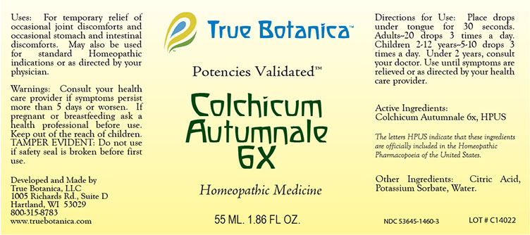 Colchicum Autumnale 6X