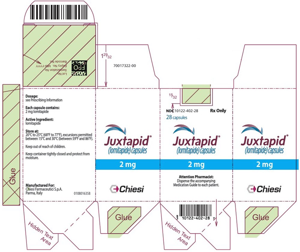 PRINCIPAL DISPLAY PANEL - 2 mg Capsule Bottle Carton