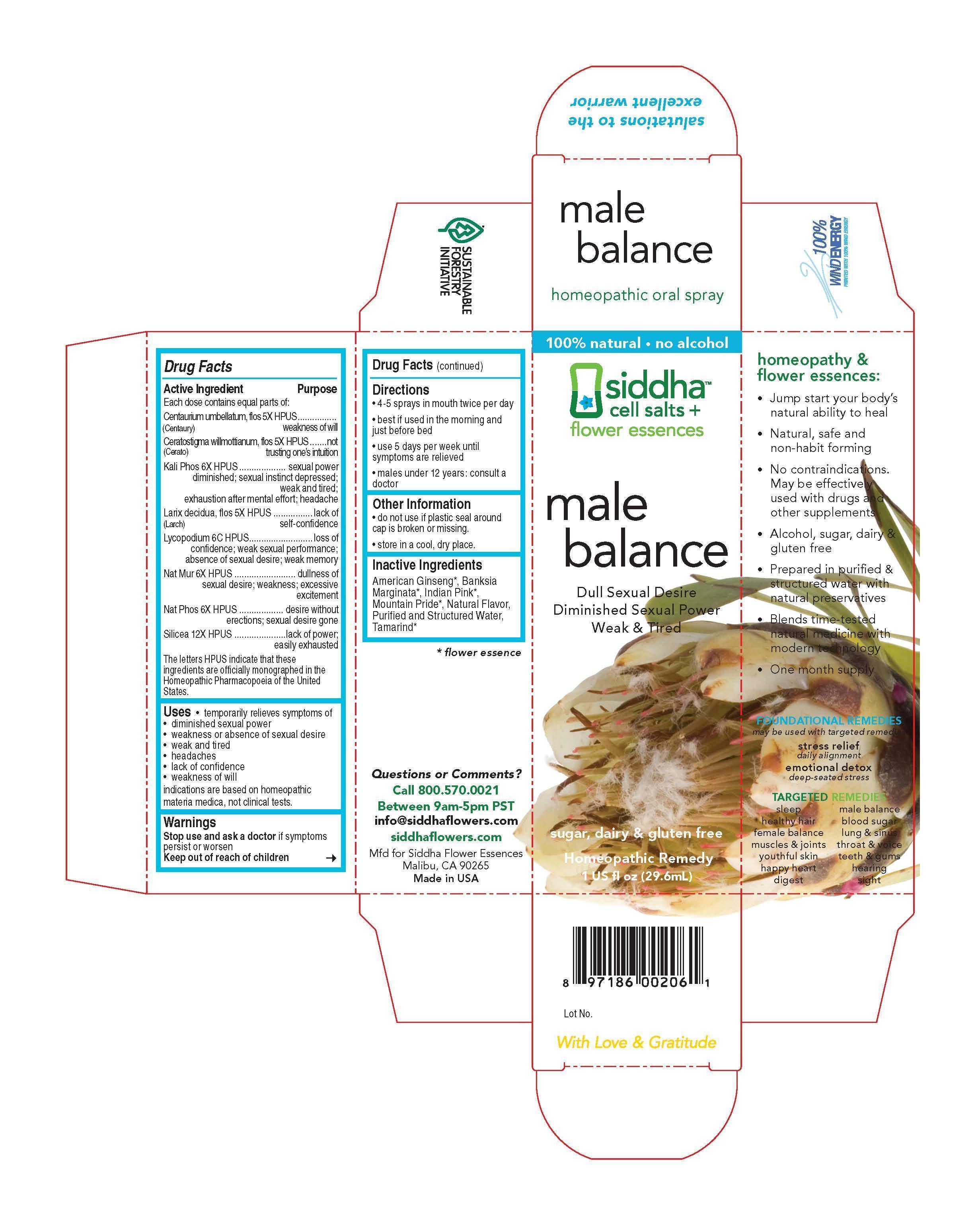 Male Balance Carton