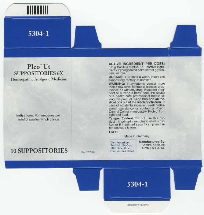 Principal Display Panel - 10 Suppositories Carton