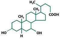 ursodiol-structure.jpg