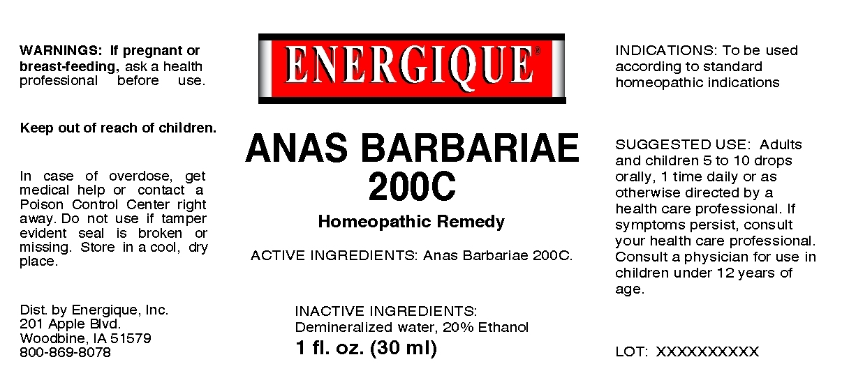 Anas Barbariae 200C