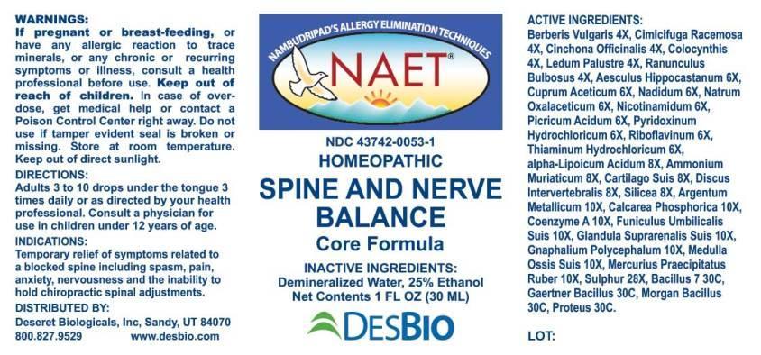 Spine and Nerve Balance