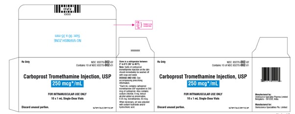 image-carton