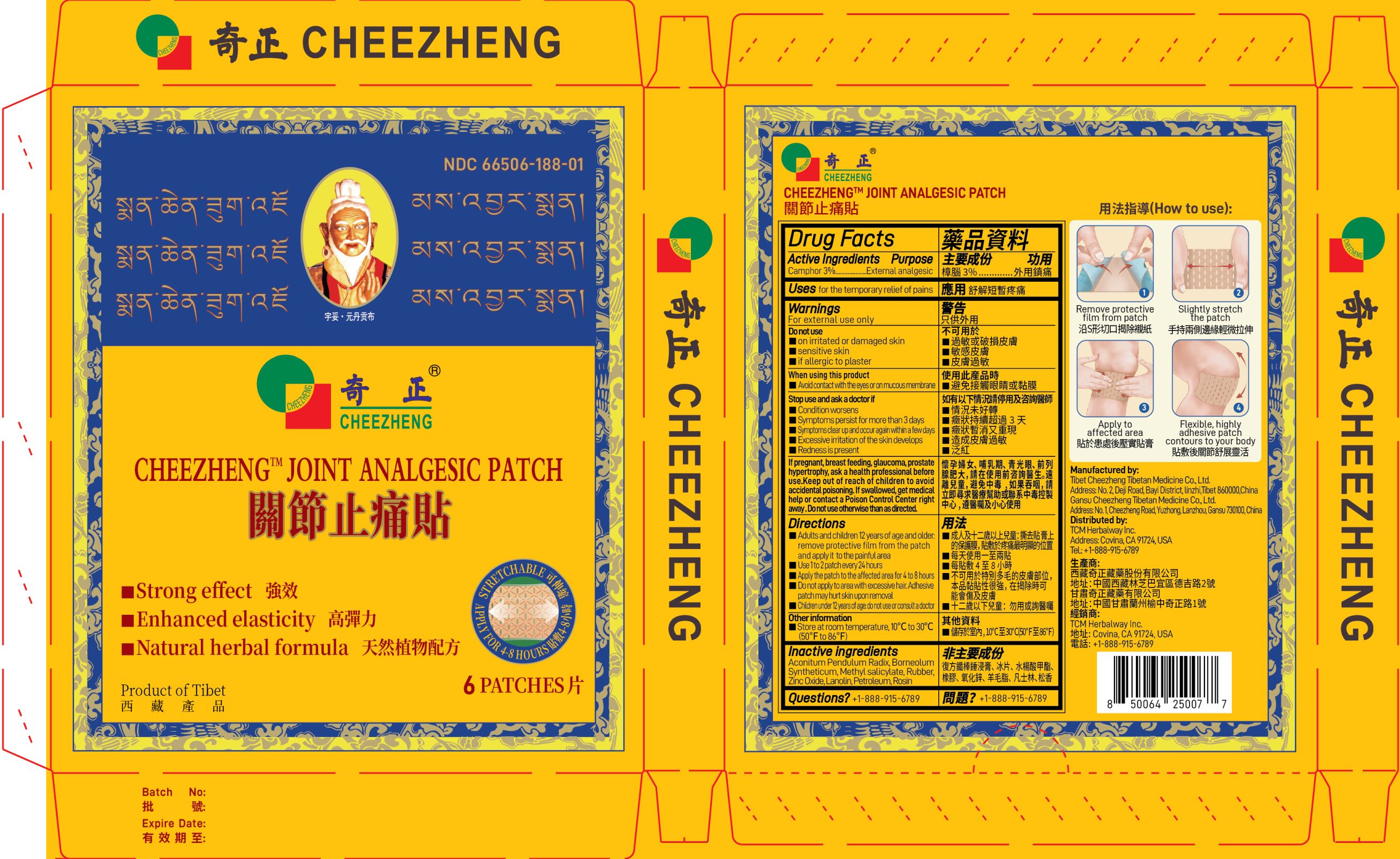 Cheezheng Joint Analgesic Patch Bilingual Outer Box