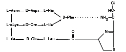 Bacitracin Zinc Chemical Structure