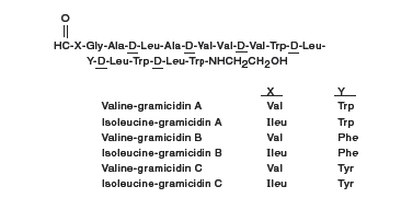 Gramicidin Chemical Structure