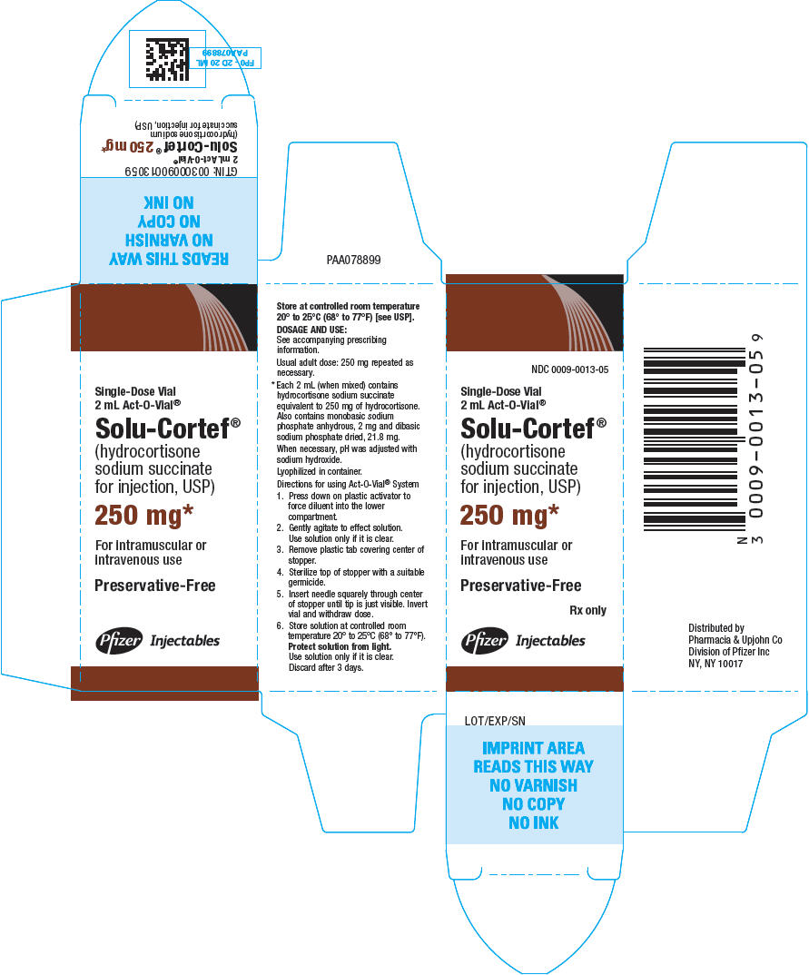 PRINCIPAL DISPLAY PANEL - 250 mg Single-Dose Vial Carton