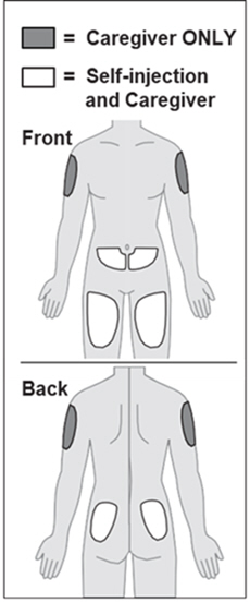 Figure I