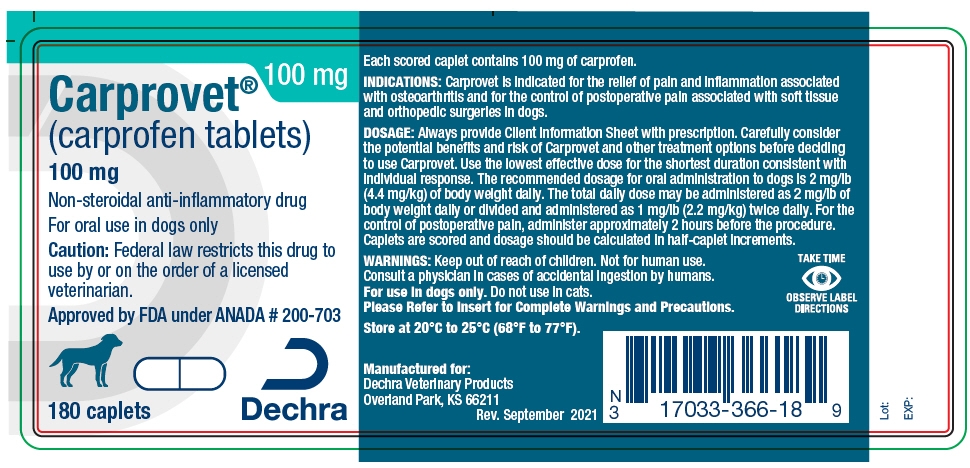 PRINCIPAL DISPLAY PANEL - 100 mg Caplet Bottle Label