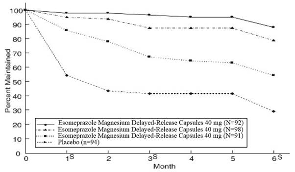 Figure 2: Maintenance of Healing Rates by Month (Study 177)