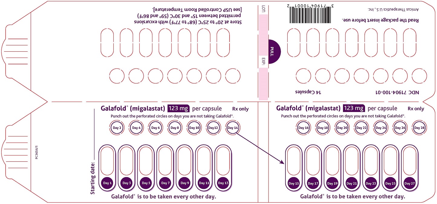 Carton Label (Inner Sleeve)
