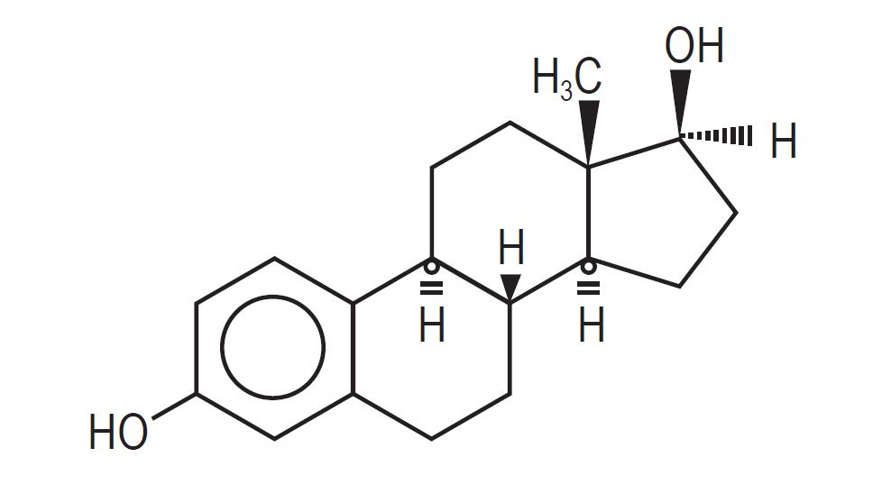 Estradiol Transdermal System, 14 mcg/day