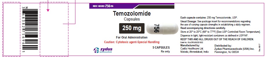 Temozolomide capsules