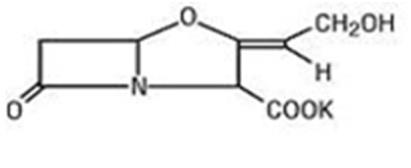 clavulanate structural formula