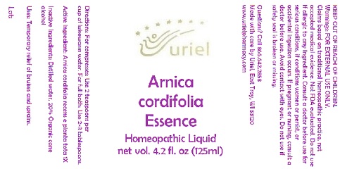 ArnicaCordifoliaEssence