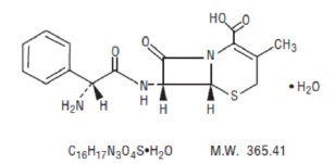 cepha-structure