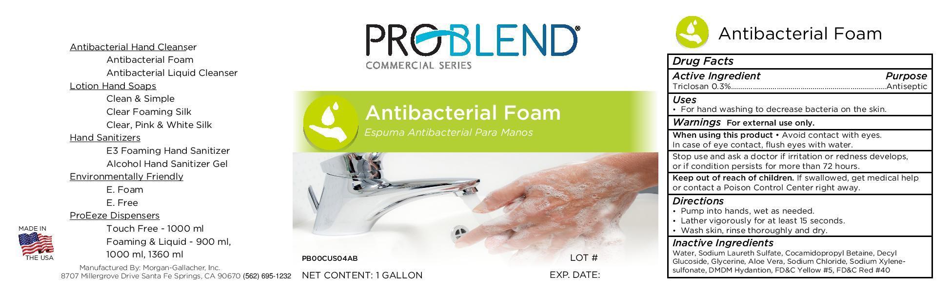 Problend Antibacterial Foam