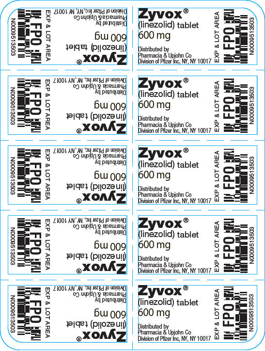 PRINCIPAL DISPLAY PANEL - 600 mg Tablet Blister Pack