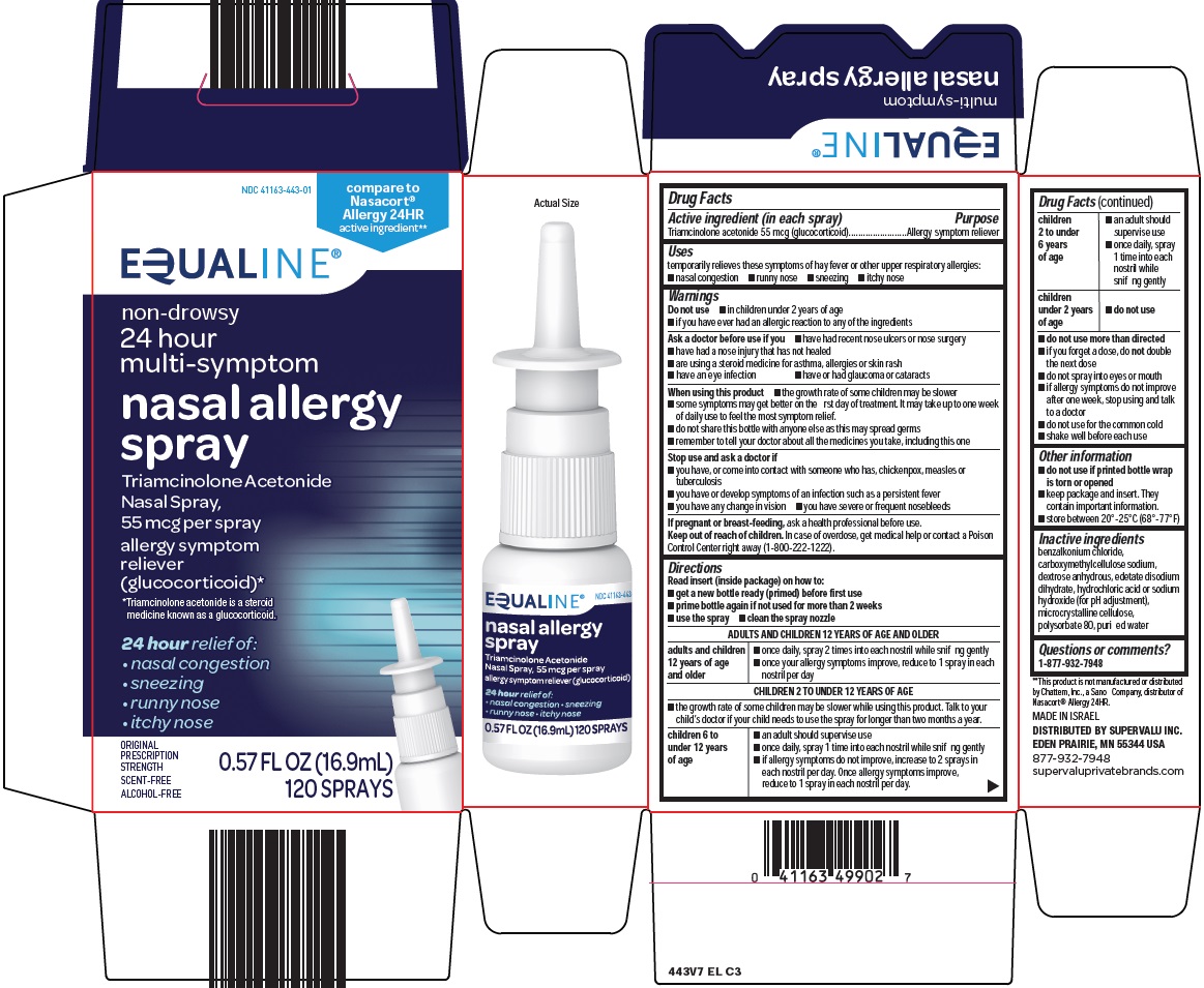 nasal-allergy-spray-image