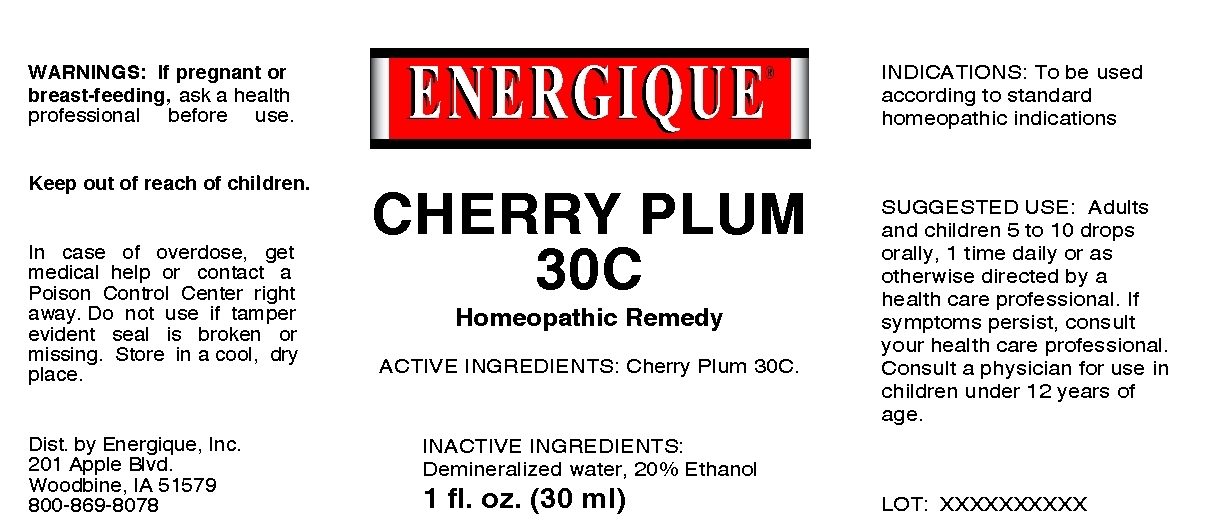 Cherry Plum 30C