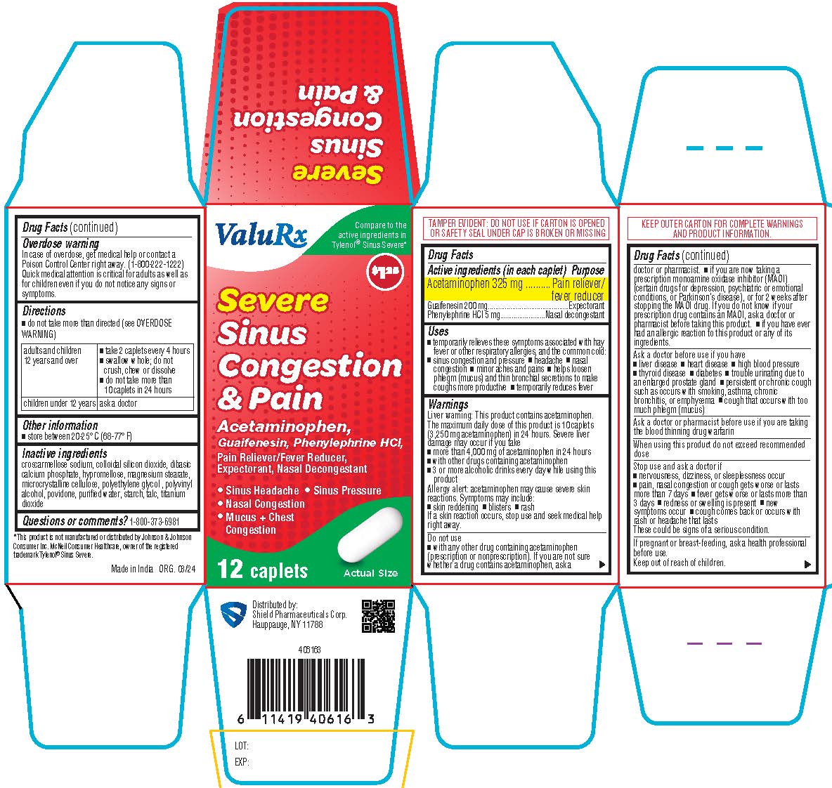 Severe Sinus Congestion Carton