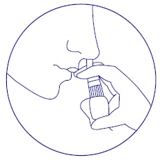 FIgure C