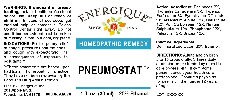 Pneumostat