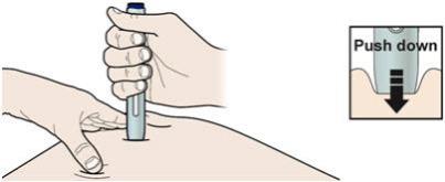 H  Firmly push the autoinjector down onto skin until it stops moving.
