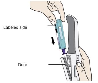 Hold the Enbrel MiniTM single-dose cartridge with the labeled side facing out and slide into door.