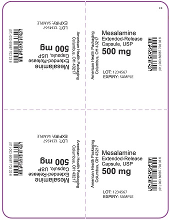 500 mg Mesalamine Extended-Release Capsule Blister