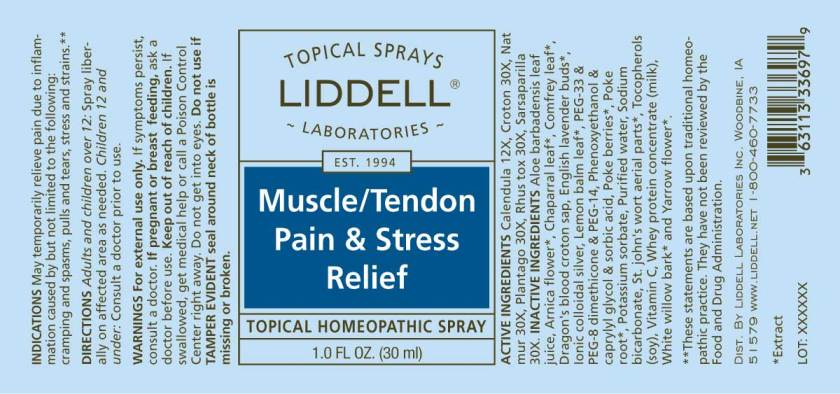 Muscle/Tendon Pain & Stress Relief