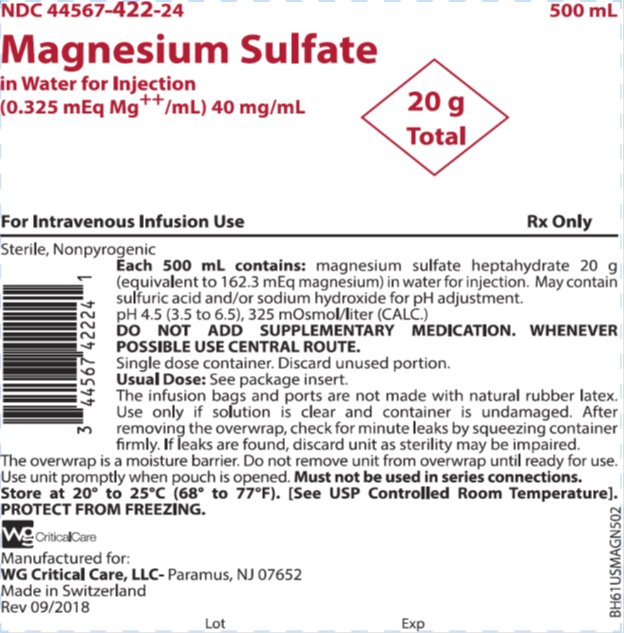 Magnesium Sulfate in WFI 20 g - 40 mg bag label image