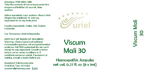 ViscumMali30Ampules