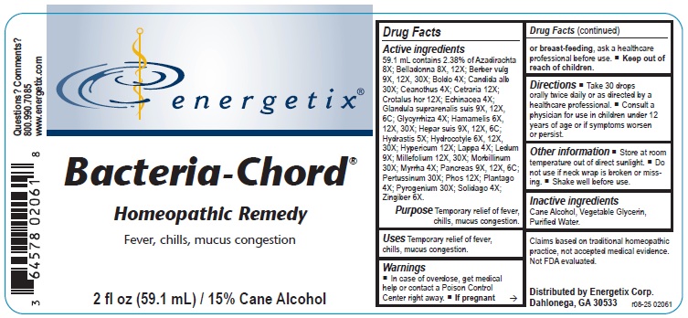 Bacteria-Chord r08-25 02061