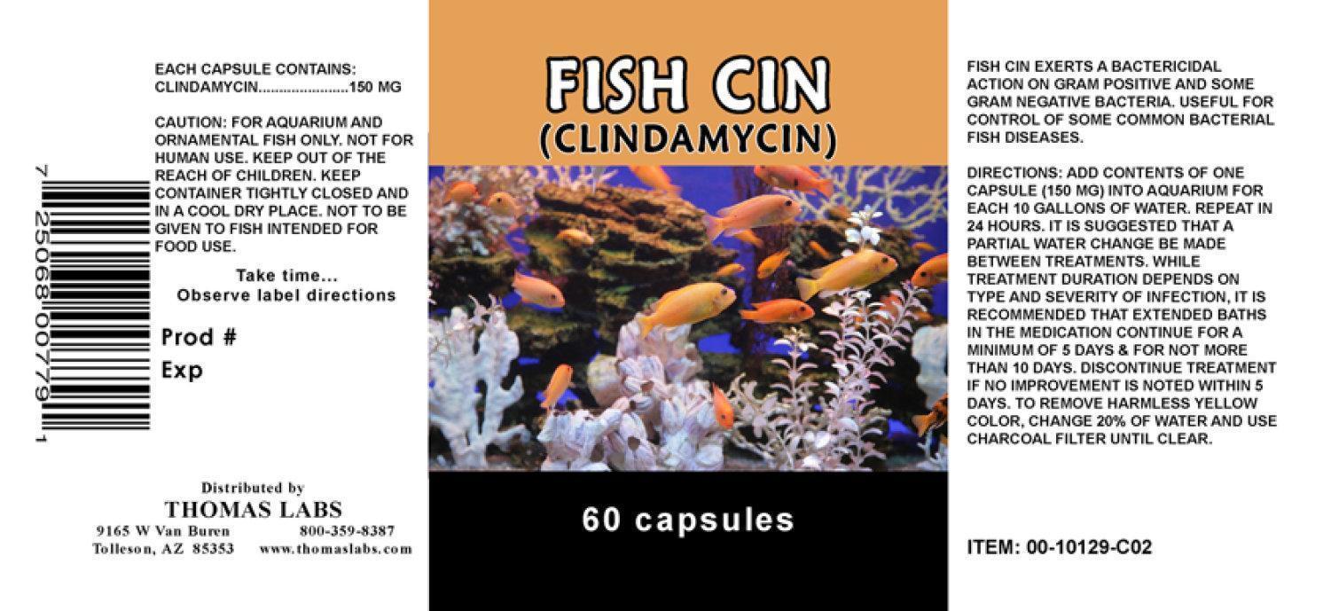 Fish Cin 60 Capsules