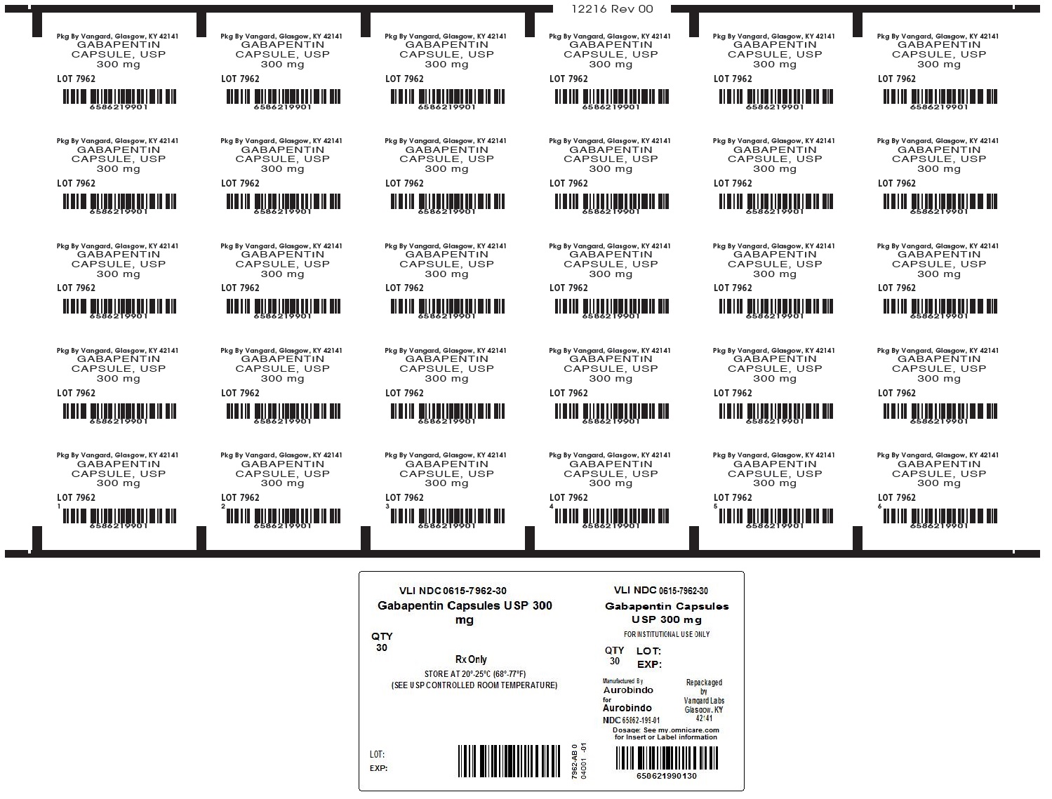 Gabapentin 300mg Caps Unit-Dose label