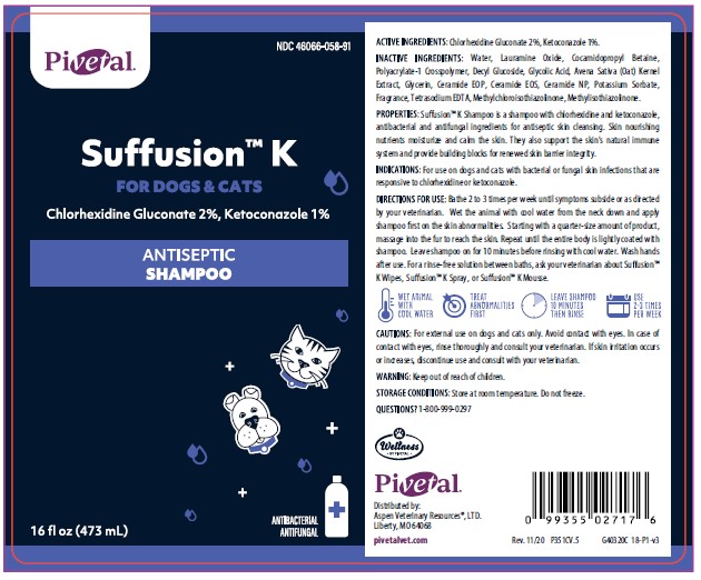 SUFFUSION K- chlorhexidine gluconate, ketoconazole shampoo